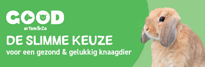 Good - De slimme keuze voor een gezond & gelukkig knaagdier