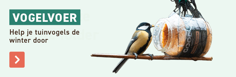 Help je tuinvogels de winter door