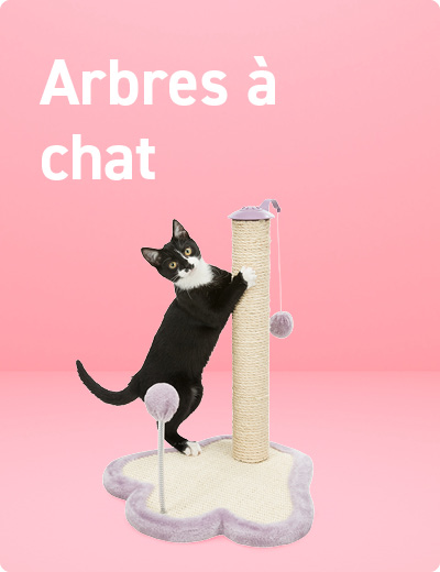 arbre a chats petit