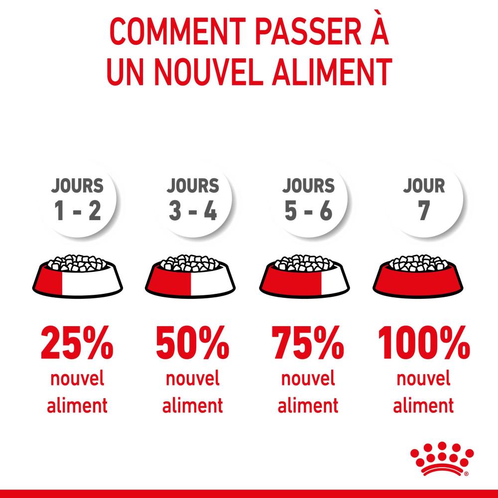 Sch&eacute;ma pour effectuer la transition progressive de l&rsquo;alimentation de votre chat