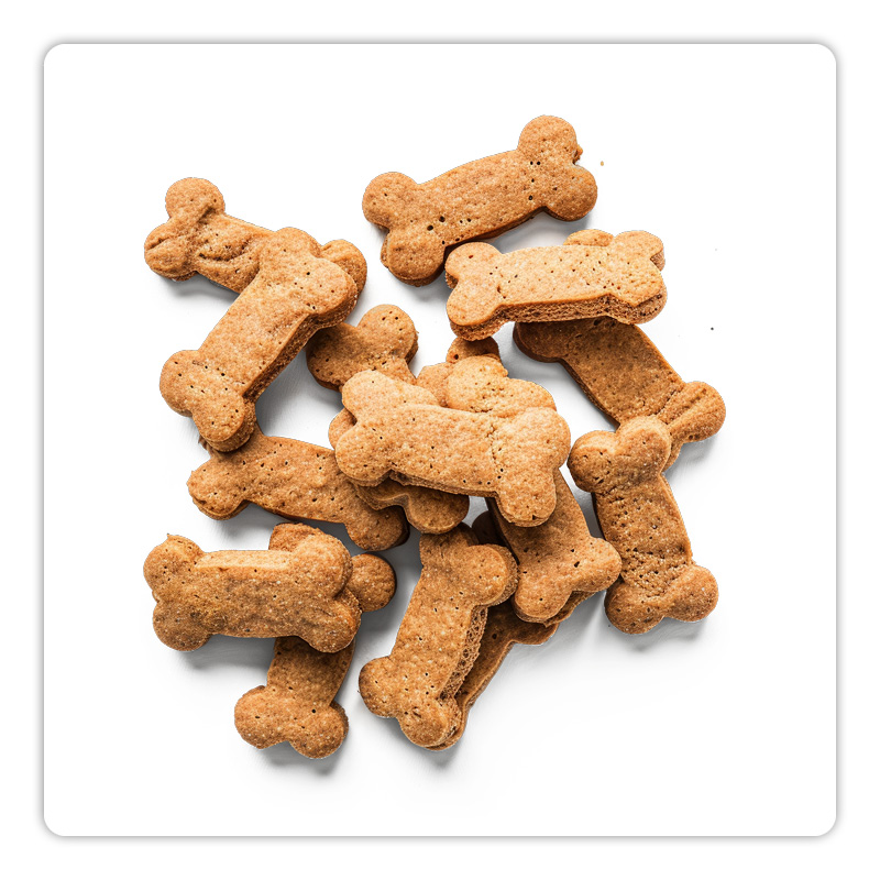 hondensnacks geef je met mate