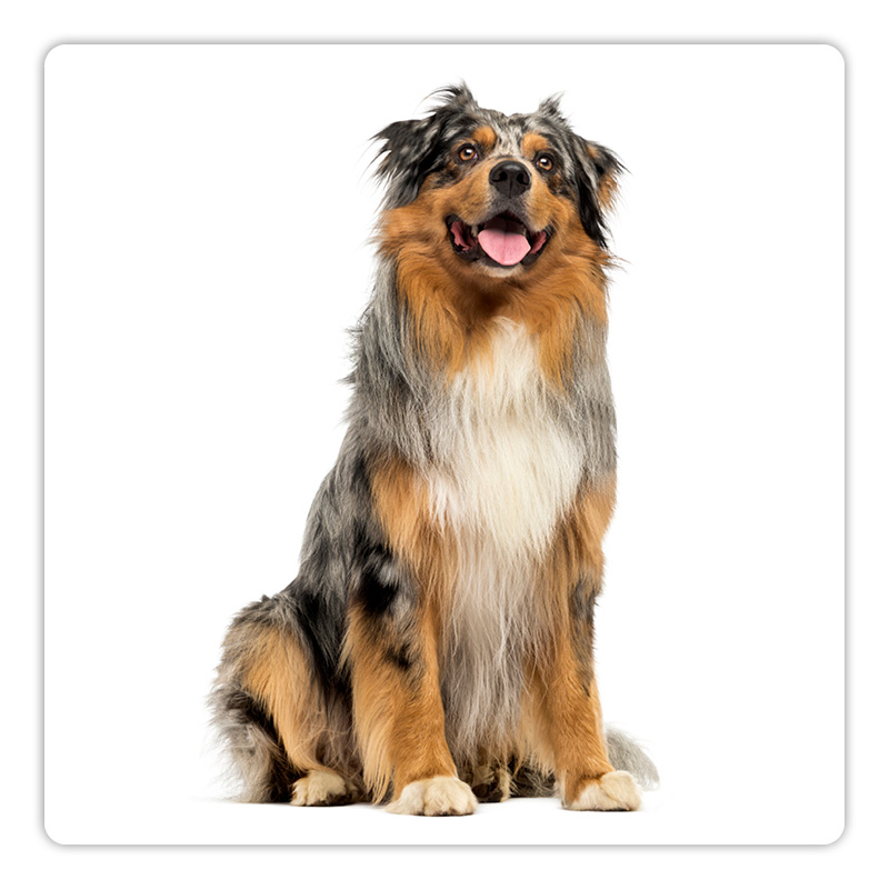 Recevez un plan de sant&eacute; personnalis&eacute; gratuit