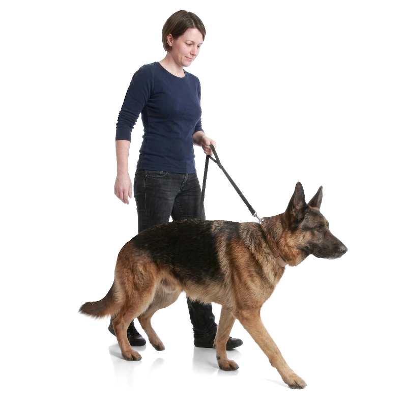 hond en baasje zijn aan het trainen om minder te trekken aan de lijn