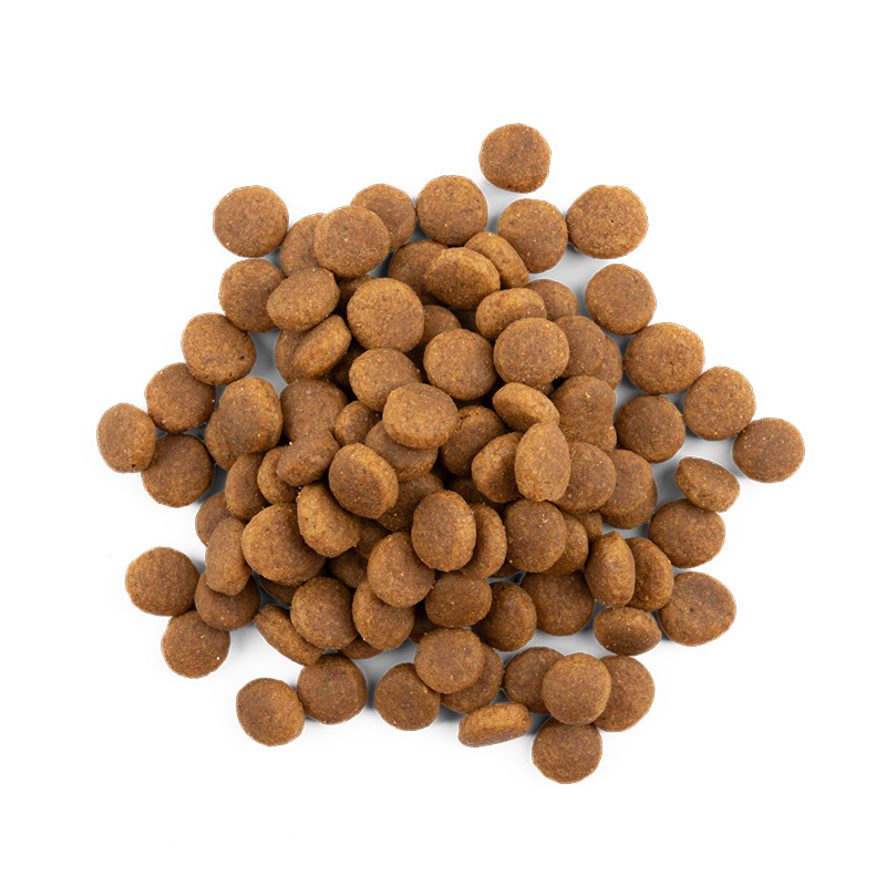 Aangepaste voeding en supplementen helpen voor een gezonde spijsvertering bij je hond.