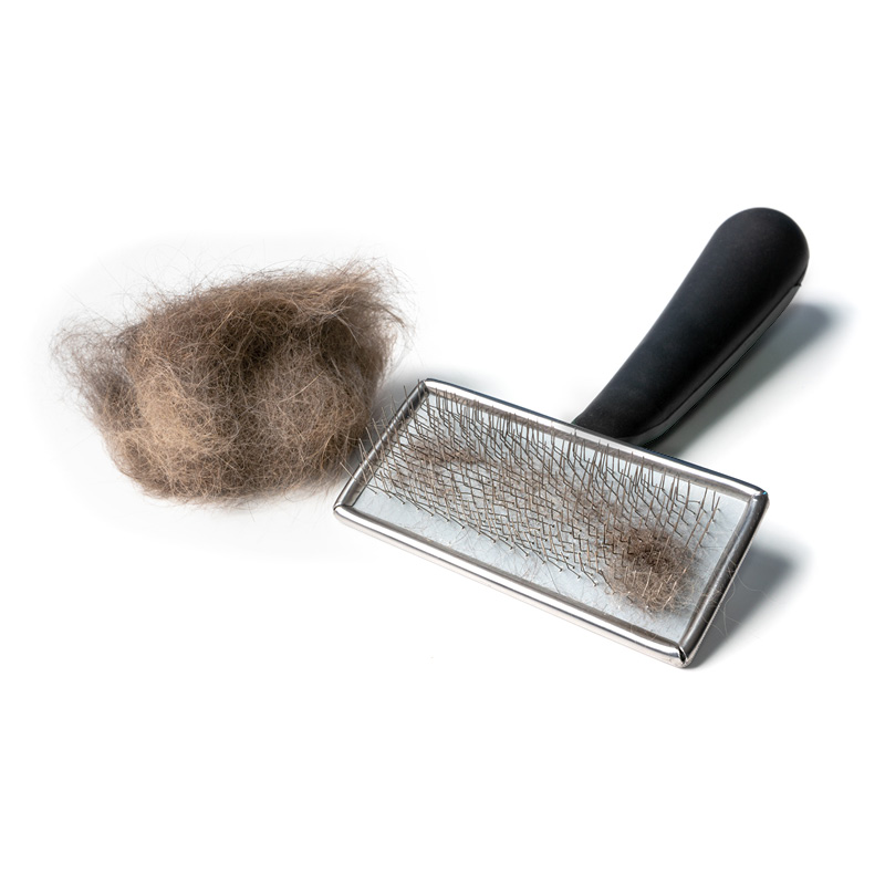 Une brosse pour chat avec une touffe de poils brossés pour éviter les boules de poils.