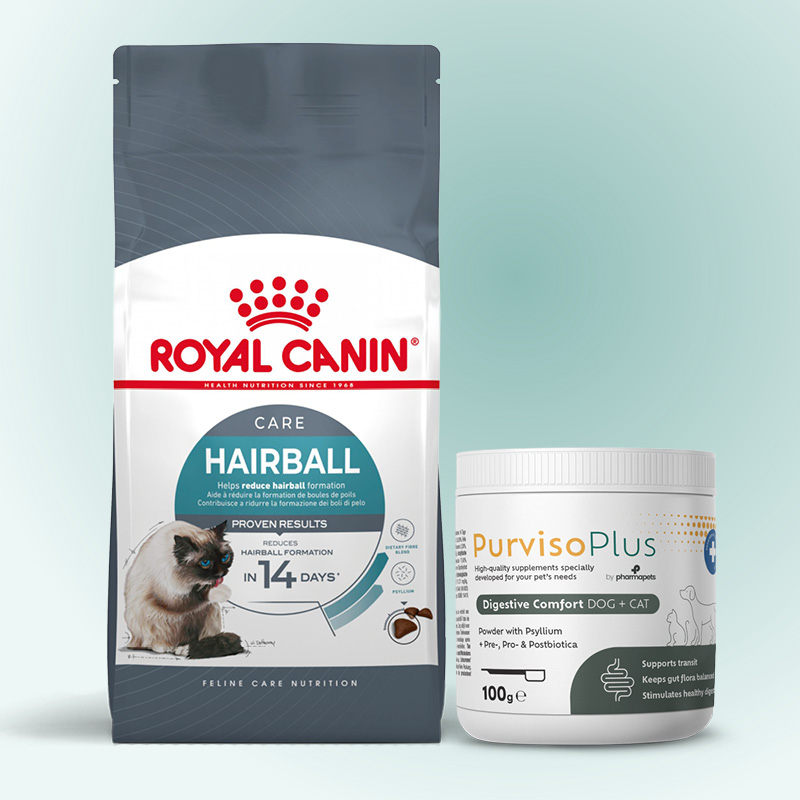 Des croquettes anti-boules de poils de Royal Canin et un complément de Purviso pour réduire les boules de poils chez le chat.