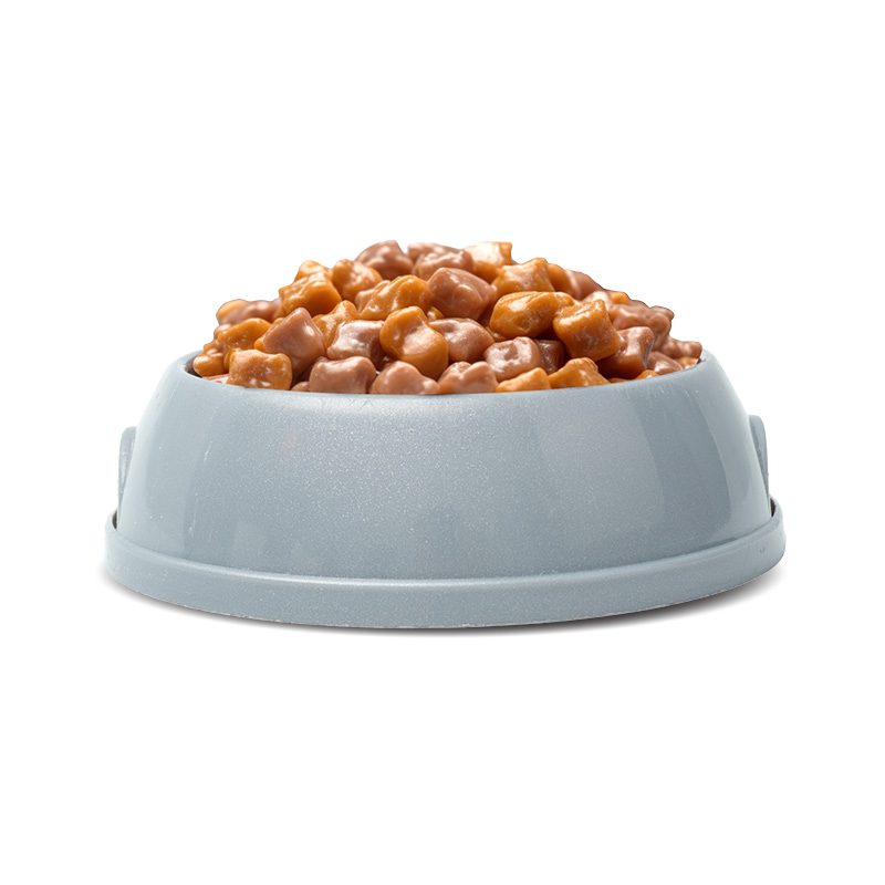Une gamelle de pâtée pour chat, idéale pour augmenter l’apport en eau pendant les journées chaudes d’été.