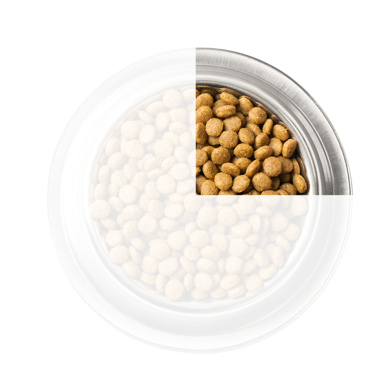 Bakje met kattenvoer toont aan hoe je moet overstappen op nieuwe voeding