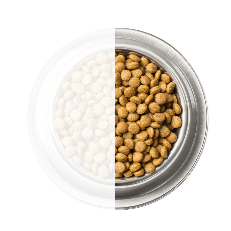 Bakje met kattenvoer toont aan hoe je moet overstappen op nieuwe voeding