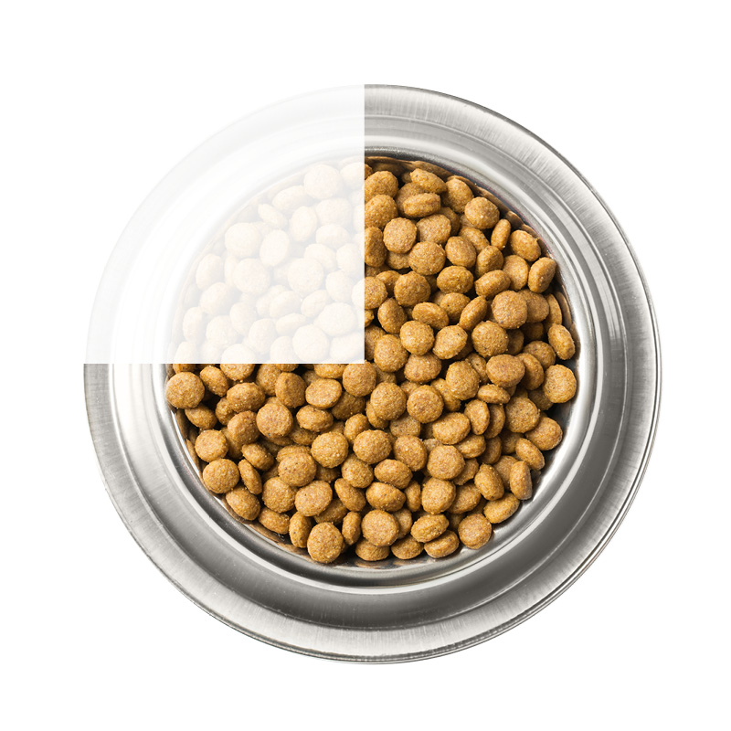 Bakje met kattenvoer toont aan hoe je moet overstappen op nieuwe voeding