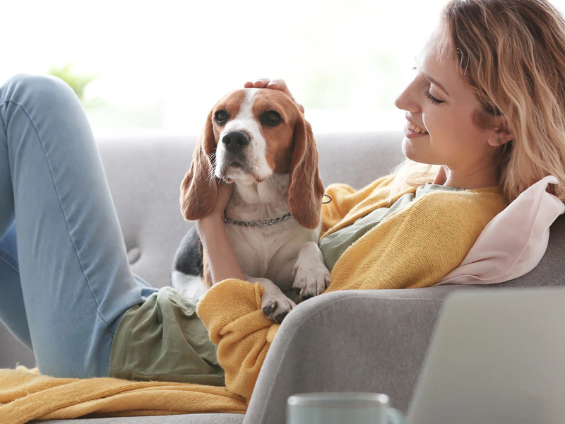 Hond ligt op schoot bij zijn baasje 