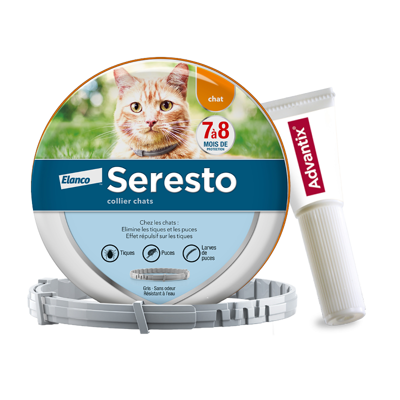 Produits anti-puces pour protéger votre chat