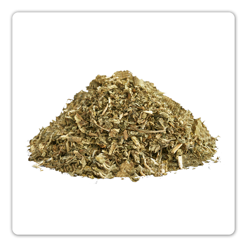 herbe à chat qui stimule la bonne humeur du chat