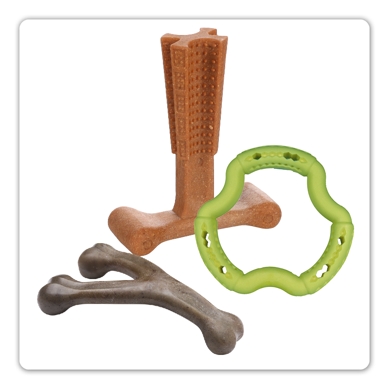 jouets à mâcher pour chiens qui aiment ronger et ont besoin d’un soin dentaire supplémentaire