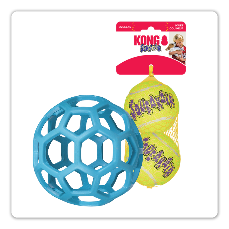 jouets de rapport idéaux pour les chiens actifs qui aiment jouer avec leur humain