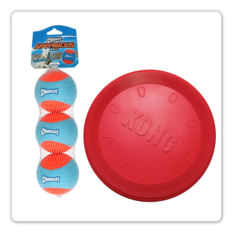 balles flottantes et frisbee adaptés aux jeux dans l’eau