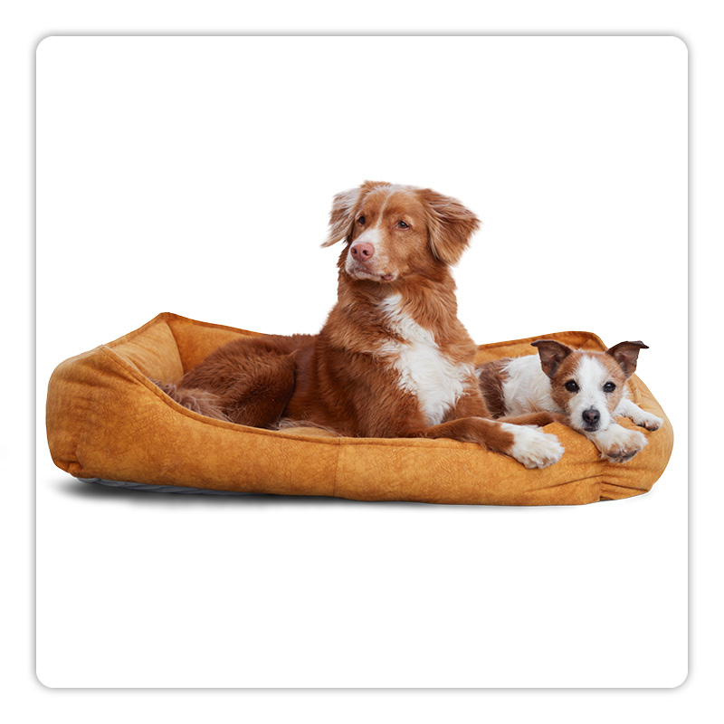 Geef je hond een rustige plek waar hij zich kan terugtrekken als hij rust nodig heeft