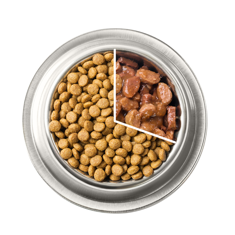 Een veelgebruikte richtlijn is ongeveer 70% droogvoer en 30% natvoer per maaltijd.