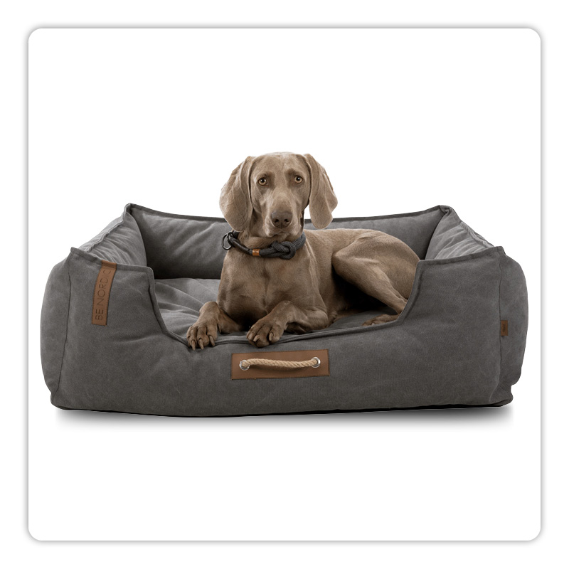 Panier à fond épais : un confort optimal pour garder votre chien au chaud