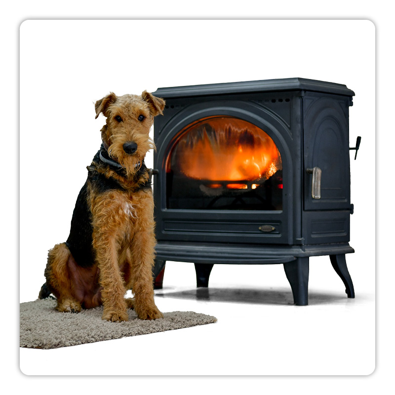 Créer un espace douillet pour que votre chien conserve sa chaleur en hiver