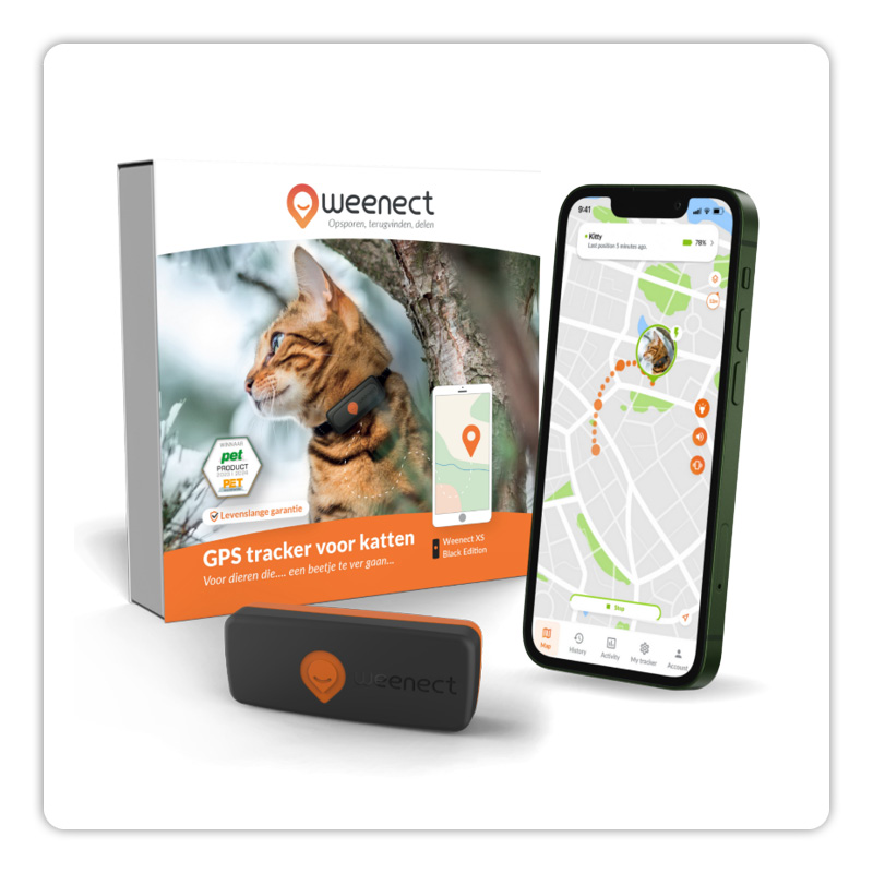 traceur GPS Weenect pour chat