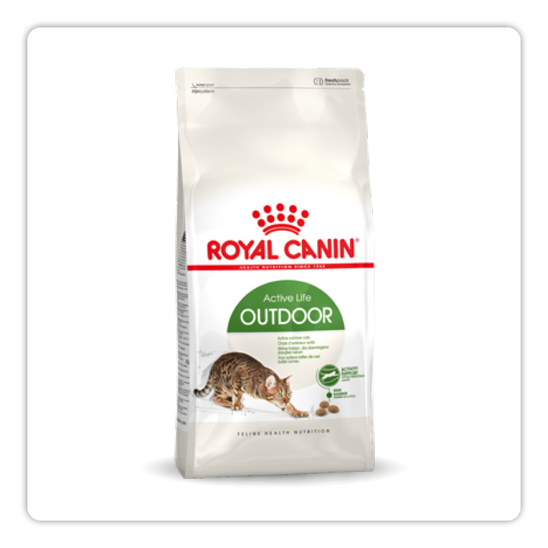 Royal Canin, nourriture pour chats d&rsquo;ext&eacute;rieur 10Kg