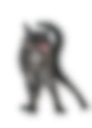 Morsure De Chat Que Faire Si Vous Etes Mordu Par Un Chat Vetostore Morsure De Chat Que Faire Si Vous Etes Mordu Par Un Chat Vetostore