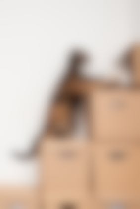 Bagarre De Chat Que Faire Face A Une Bagarre Entre Chats Vetostore Bagarre De Chat Que Faire Face A Une Bagarre Entre Chats Vetostore