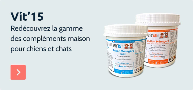 Redécouvrez la gamme Vit'15 des compléments maison