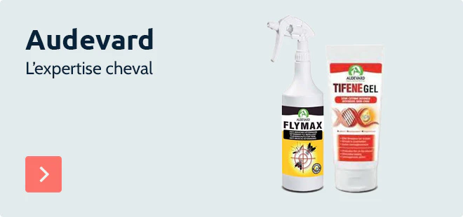 Audevard : l'expertise cheval