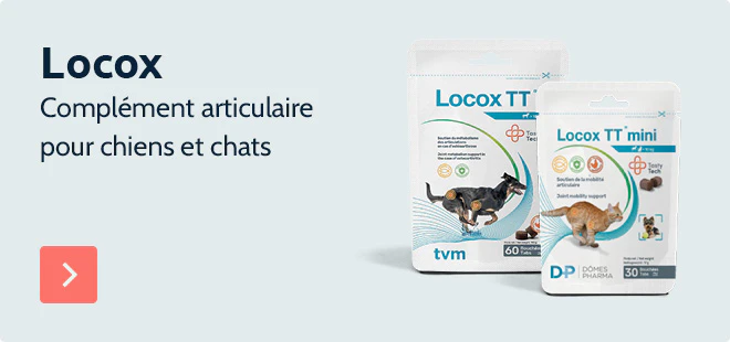 Locox : complément articulaire pour chiens et chats