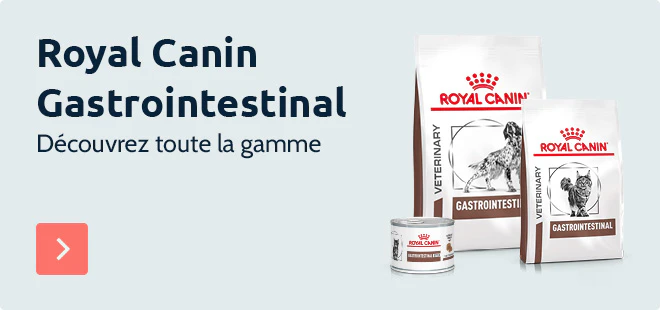 Royal Canin Gastrointestinal : Découvrez toute la gamme