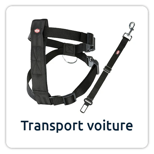 Accessoire de voiture