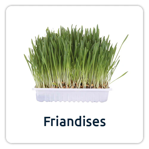 Friandises