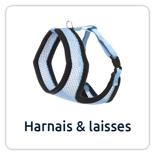 Laisses et harnais