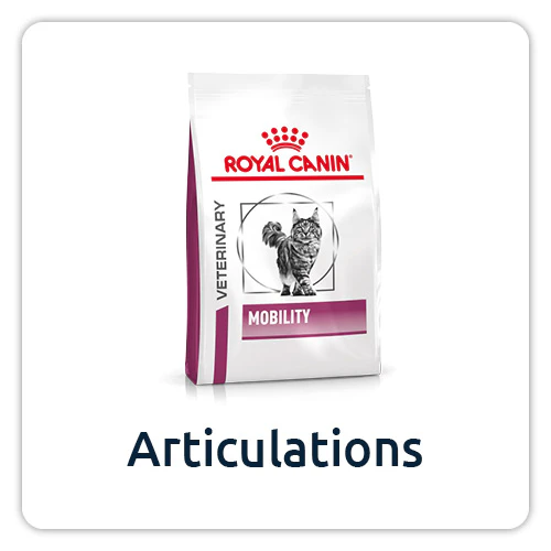 Alimentation articulations