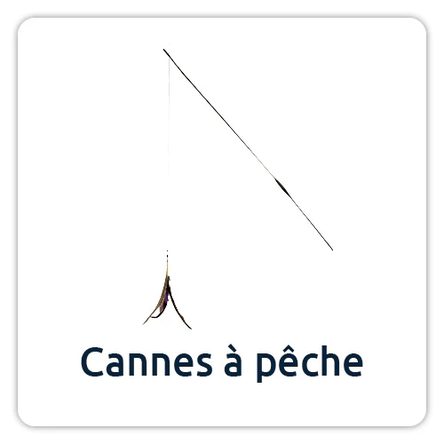 Cannes à pêche