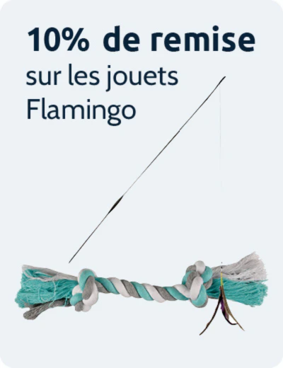 10% de remise sur les jouets Flamingo
