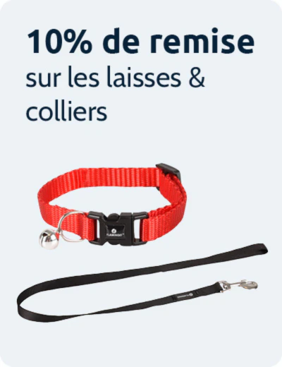 10% de remise sur laisses et colliers