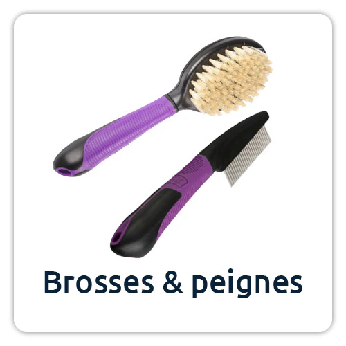 Brosses et peignes