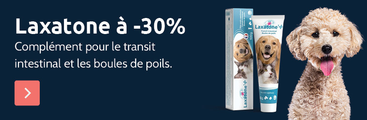 Laxatone pour chien