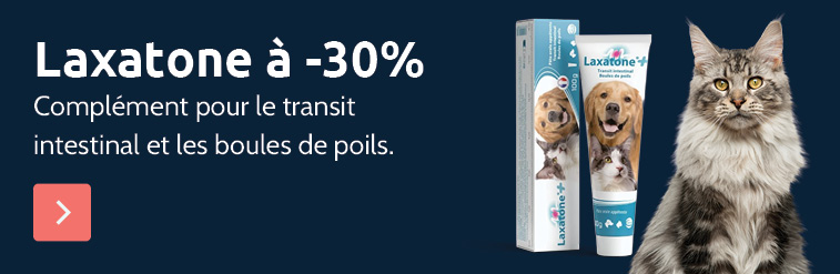 Laxatone pour chat