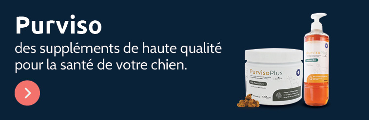 D&eacute;couvrez nos compl&eacute;ments alimentaires Purviso