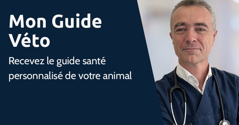 Le guide véto personnalisé gratuit et sans engagement