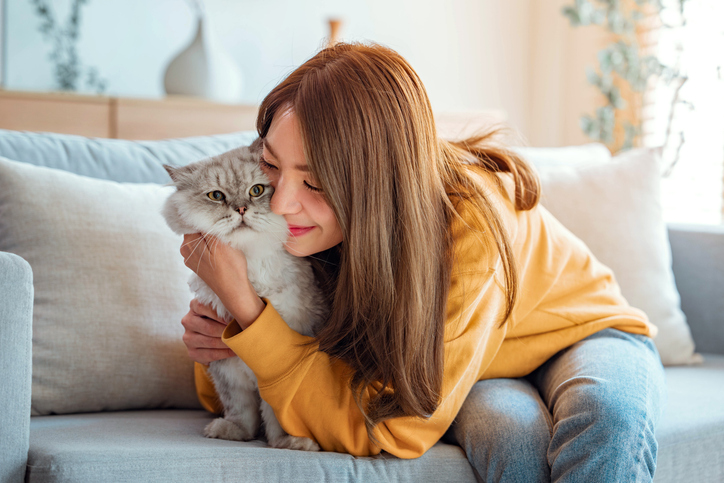 Les meilleures marques pour votre chat 