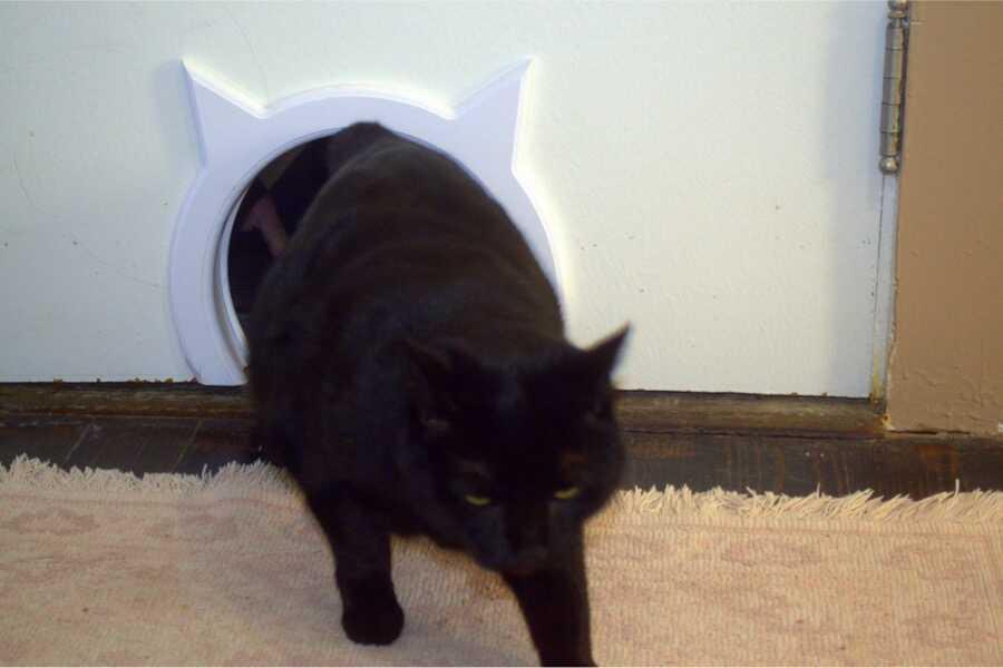 Colcolo Chatière De Remplacement Facile à Installer Pour