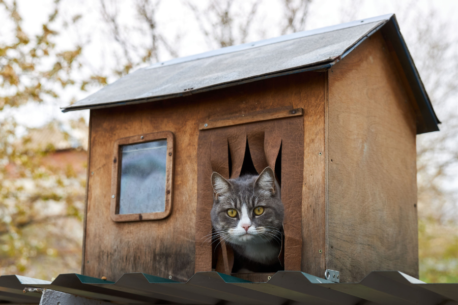 Outdoor kattenhuis voor de winter, waterdicht buiten huisdier asiel, warme huisdier grot voor buiten | voor hond konijn kitten dier buiten tuin achtertuin veranda balkon garages indoor huis