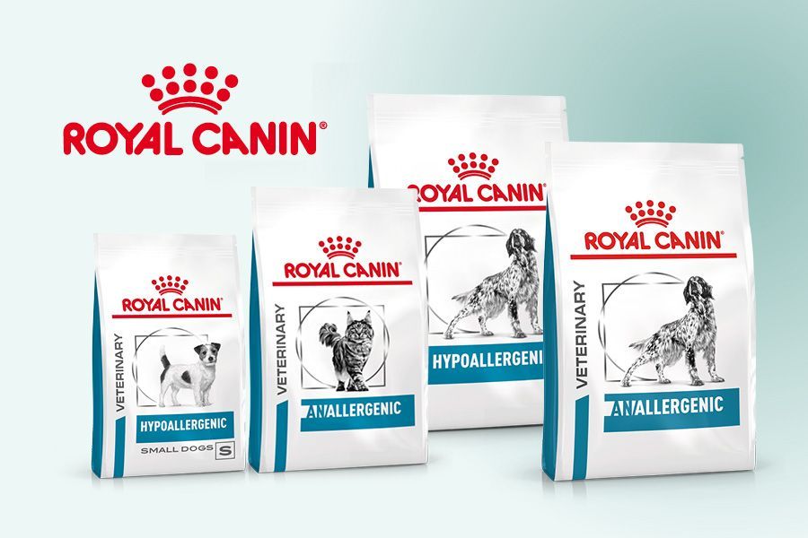 Royal Canin Anallergenic nourriture pour chat Croquettes Chat