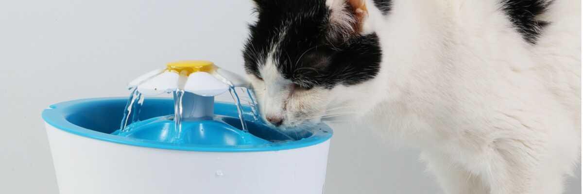 Distributeur d'eau chien chat 3,8 litres • Gamelle fontaine à réserve