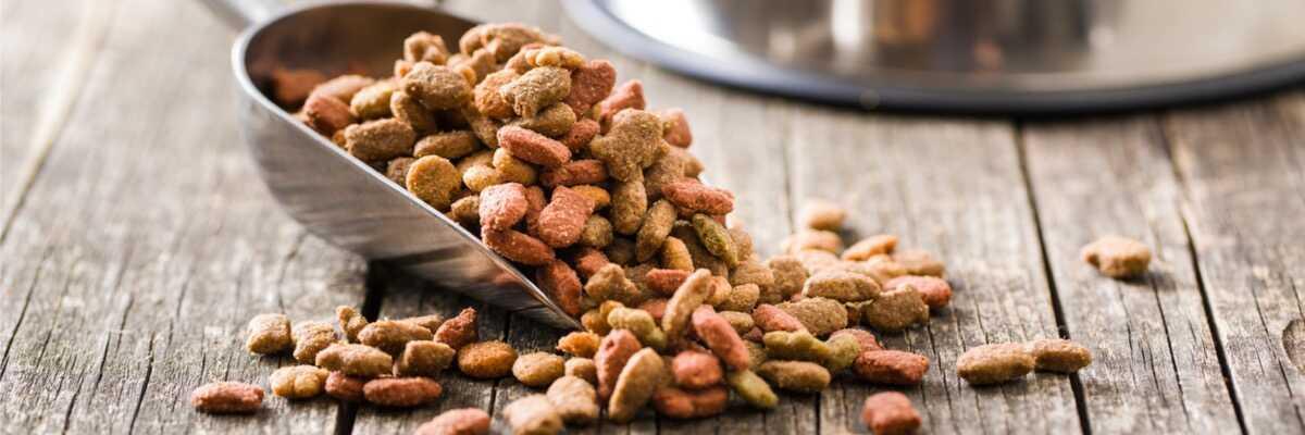 Voedselallergie bij honden.